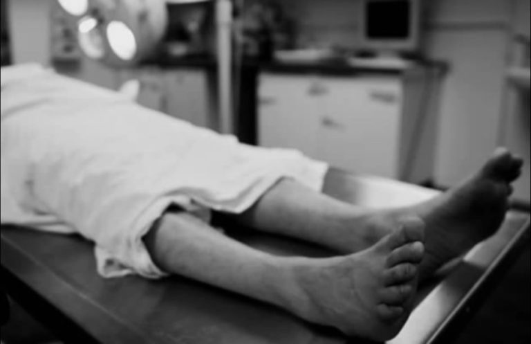 262572420_382098573726963_7478759973685846842_n