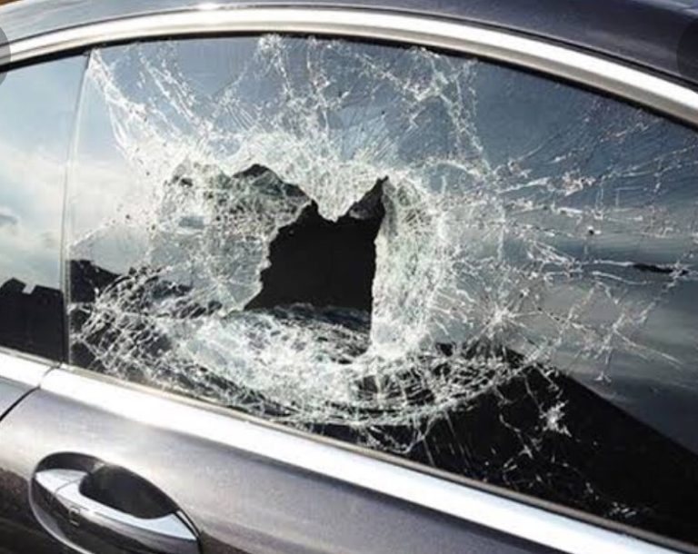 273541247_488733535957070_7236327042069579921_n