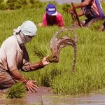 farmers