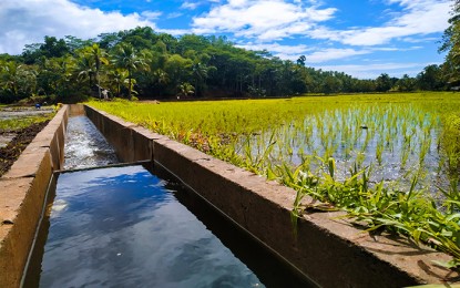 irrigation-project-photo (1)