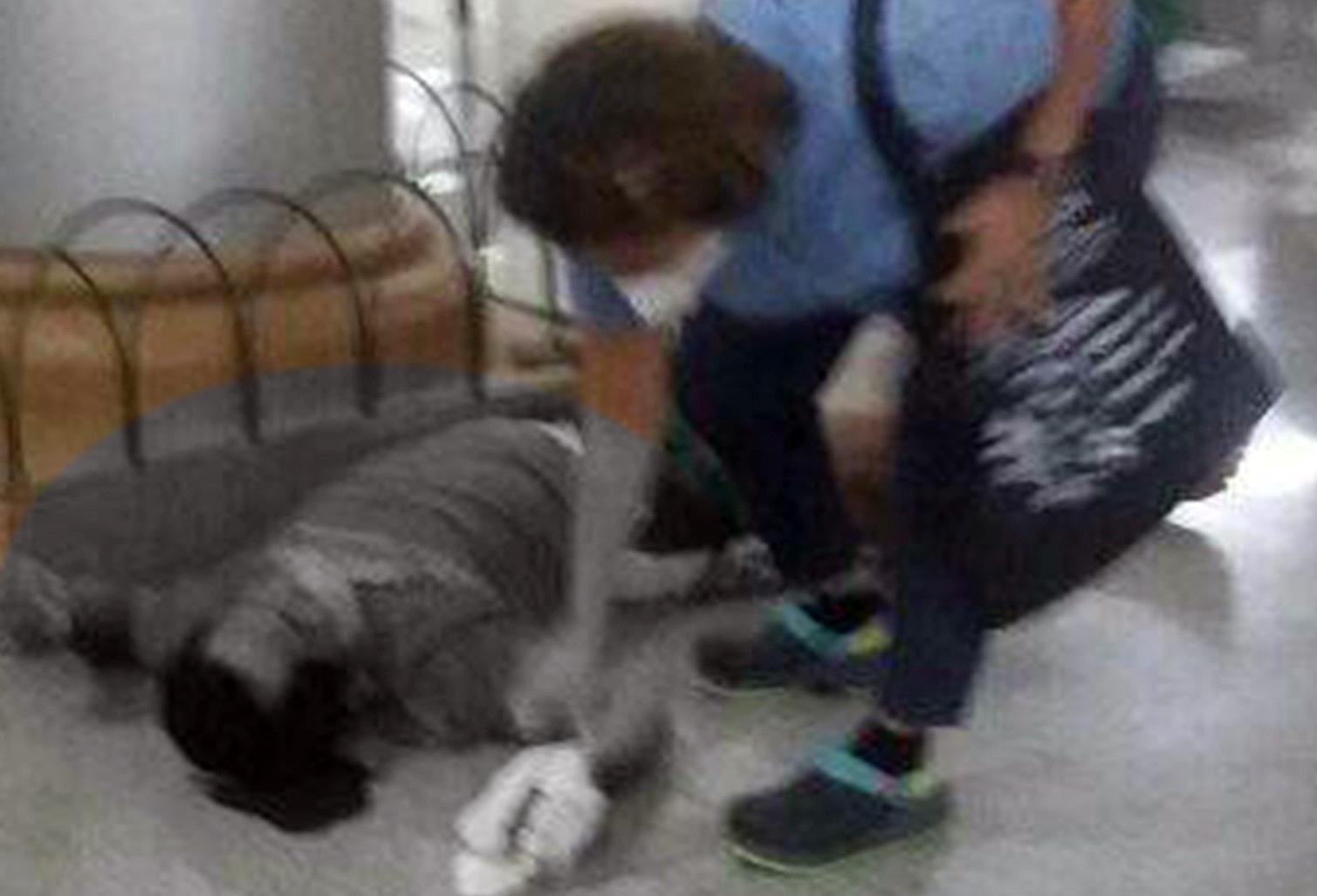 pasyente