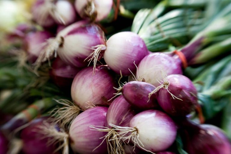 red-onions-andrew-malone