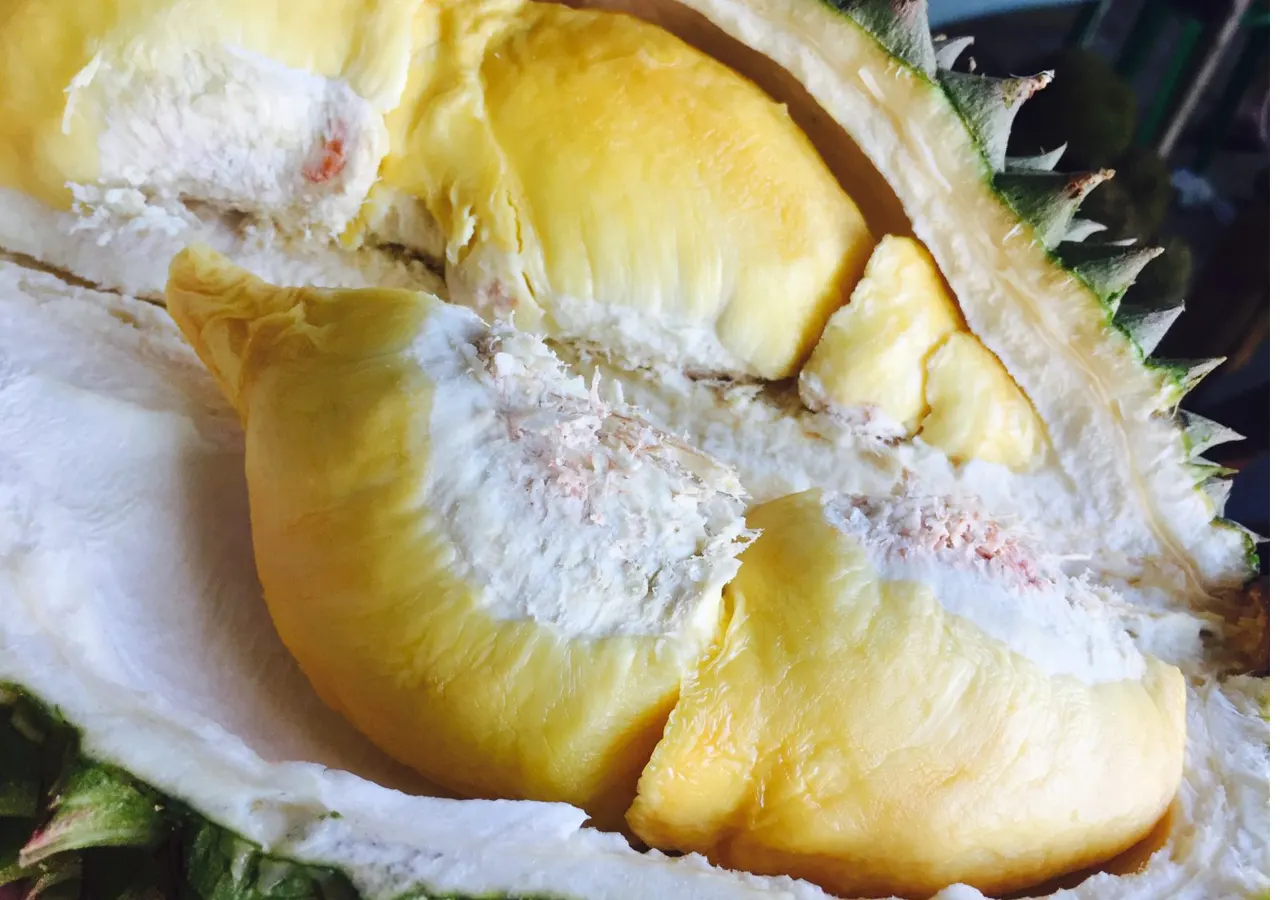 durian1212