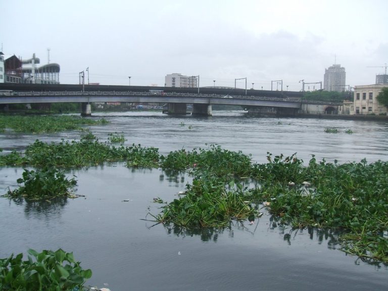 river