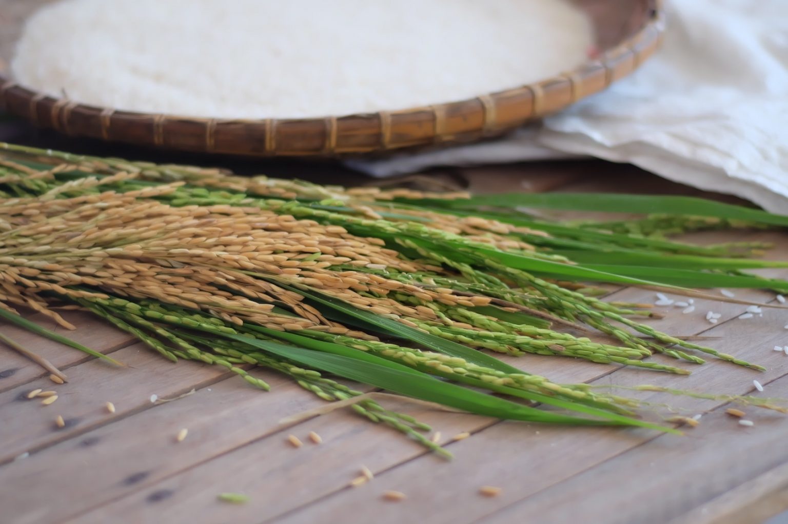 Ang-Palay-At-Bigas-1536x1022-1