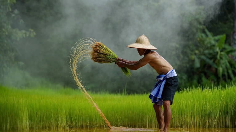farmer