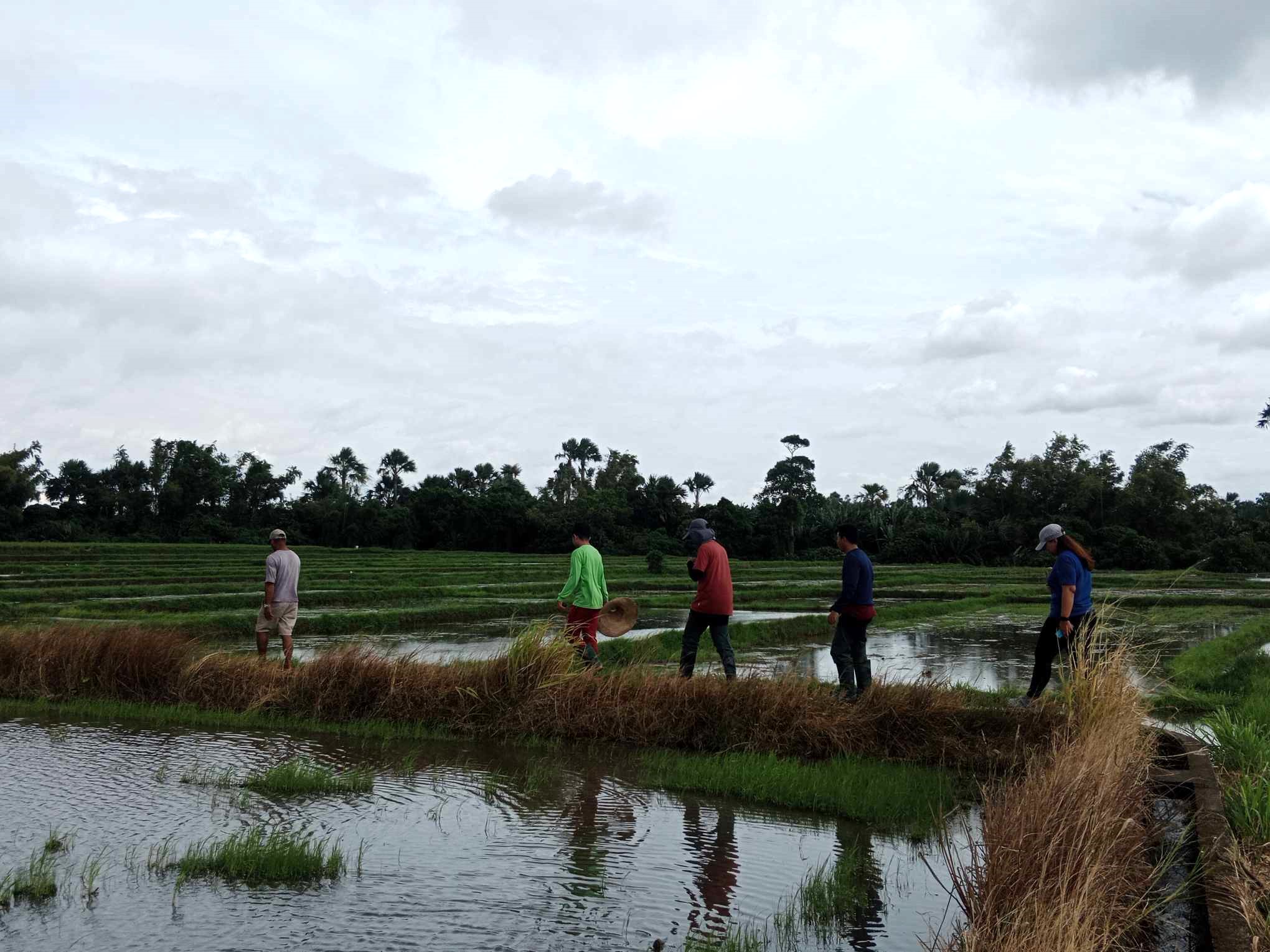 385540682_964407794660620_386621245158263077_n