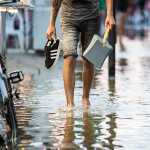 Leptospirosis_870x620