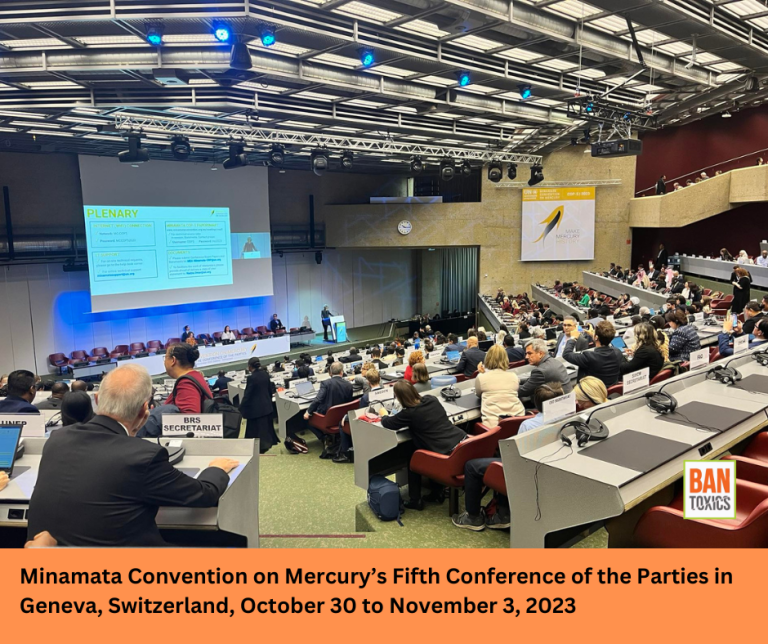 Minamata Convention 2