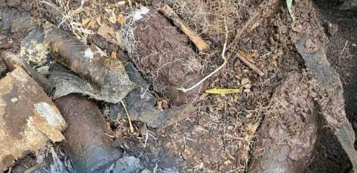 Screenshot_20231020_183007_Viber