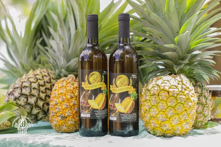 FB_IMG_1704707361471