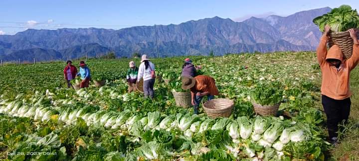 FB_IMG_1705056357151