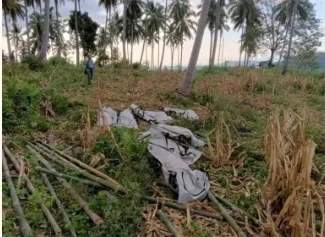 Screenshot_20240109_135753_Chrome