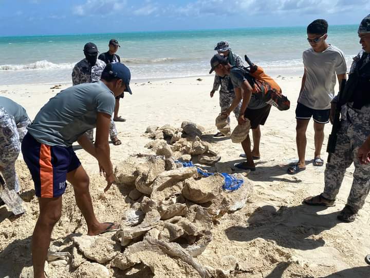 FB_IMG_1708393573119