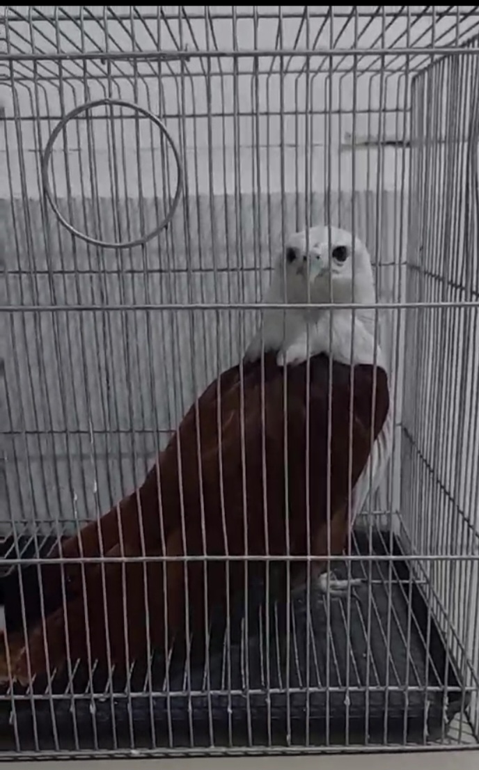 Screenshot_20240305_100439_Viber