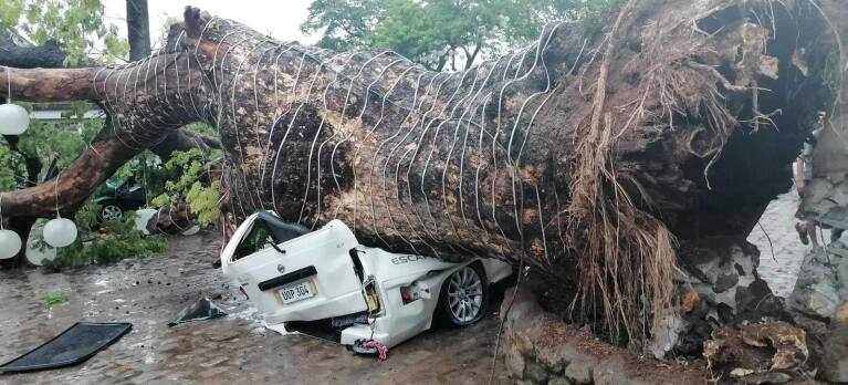 IMG-3333b4cfa1619860bdefa1df65a2caf7-V