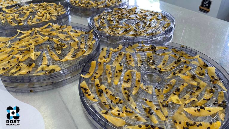 DOST-CALABARZON Media Release Vol. 32 No. 89_12