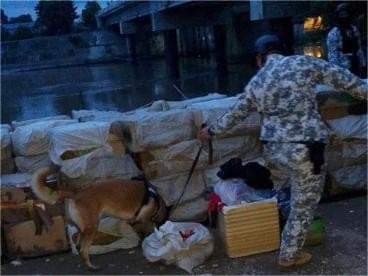 FB_IMG_1721093862492