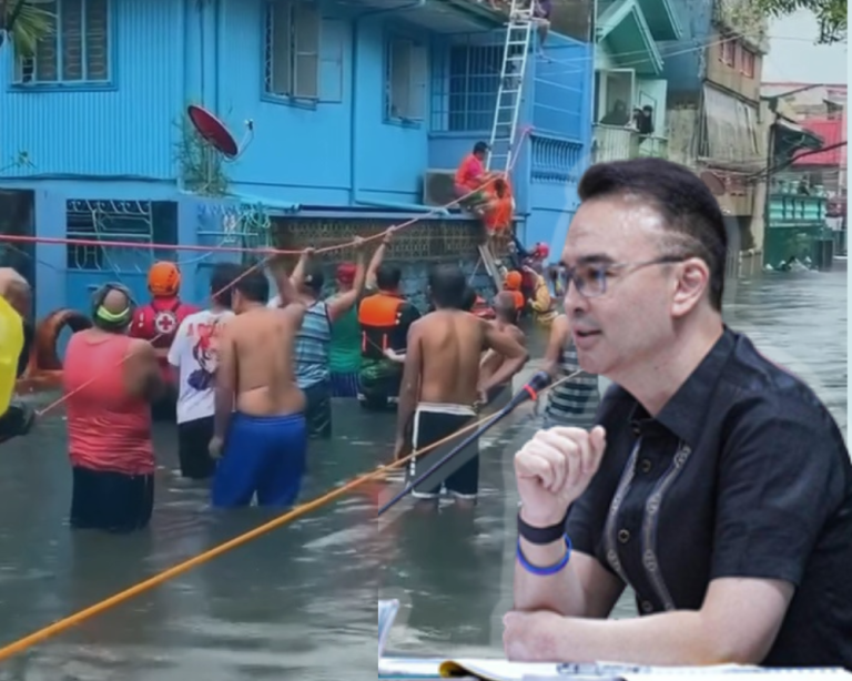 Untitled design (19)