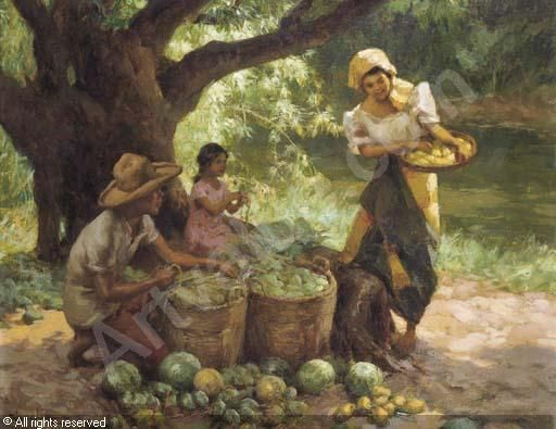 mango harvesters