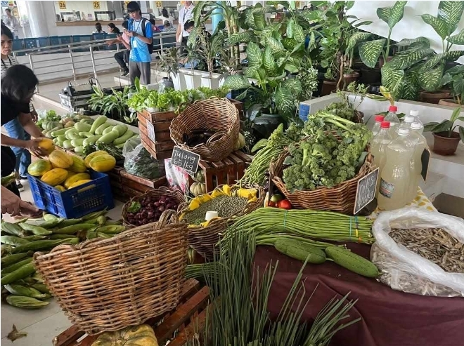 Screenshot_20250430_150943_Gmail