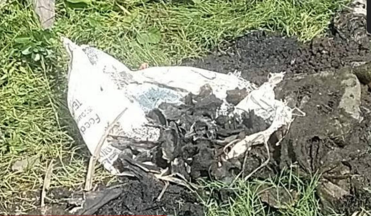 FB_IMG_1752229954817