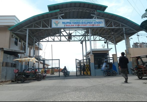 Bulan-Fish-Port-July-20-2026