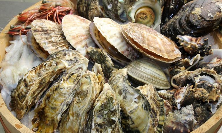 shellfish1